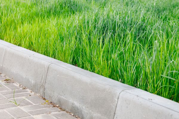 Cost of Concrete Curb Repair in Santa Monica