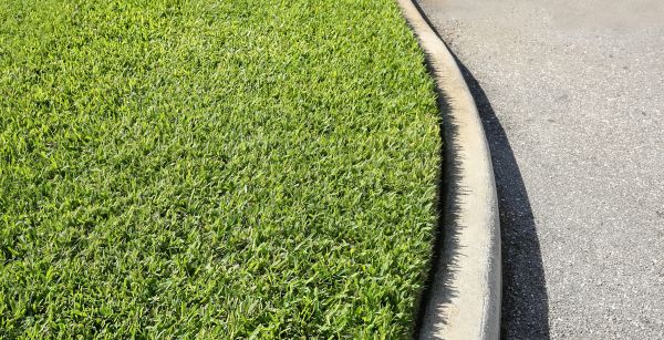 Cost of Driveway Curb Repair in Santa Monica