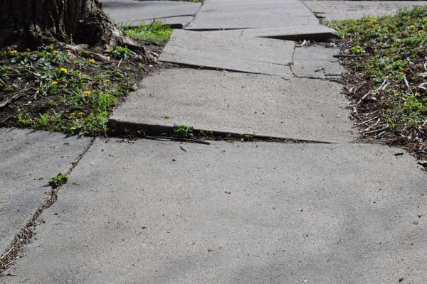 Cost of Trip Hazard Removal in Santa Monica