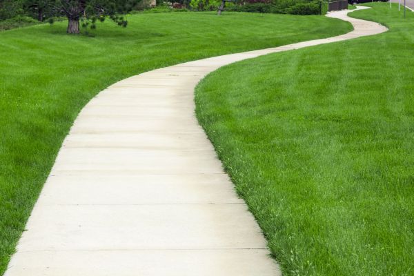 Cost of Cracked Sidewalk Repair in Santa Monica